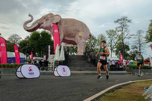 BIB: 
                            <button type="button" onclick="openModal(26528486)" class="btn btn-primary btn-sm float-right btn-popup" data-toggle="modal" data-target=".modal-high-quality">
                        <i class="fas fa-shopping-cart"></i> Add to Cart
                    </button>
                                            <button type="button" onclick="isThisMe(26528486, true)" class="btn btn-success btn-sm float-right btn-popup btn-isme hidden" data-toggle="tooltip" data-placement="bottom" title="นี่คือรูปของคุณใช่ไหม คลิกที่นี่เพื่อเอาเข้าอัลบั้ม">
                        <i class="fas fa-plus"></i> Add to album
                    </button>
                    <button type="button" onclick="isThisMe(26528486, false)" class="btn btn-warning btn-sm float-right btn-popup btn-isnotme hidden">
                        <i class="fas fa-ban"></i> Remove from album
                    </button>